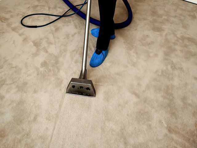 Carpet Cleaning